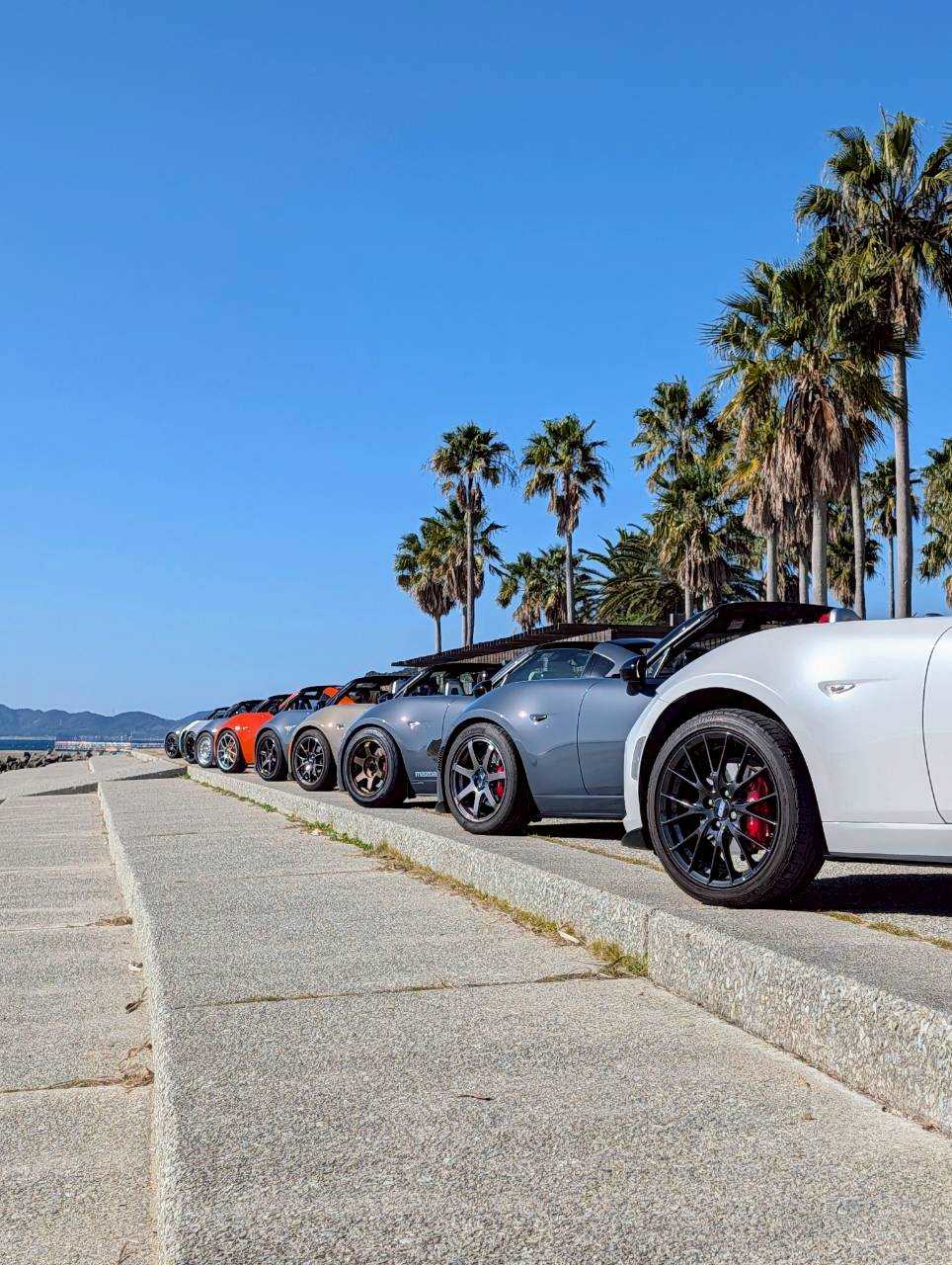 阿万海岸で整列